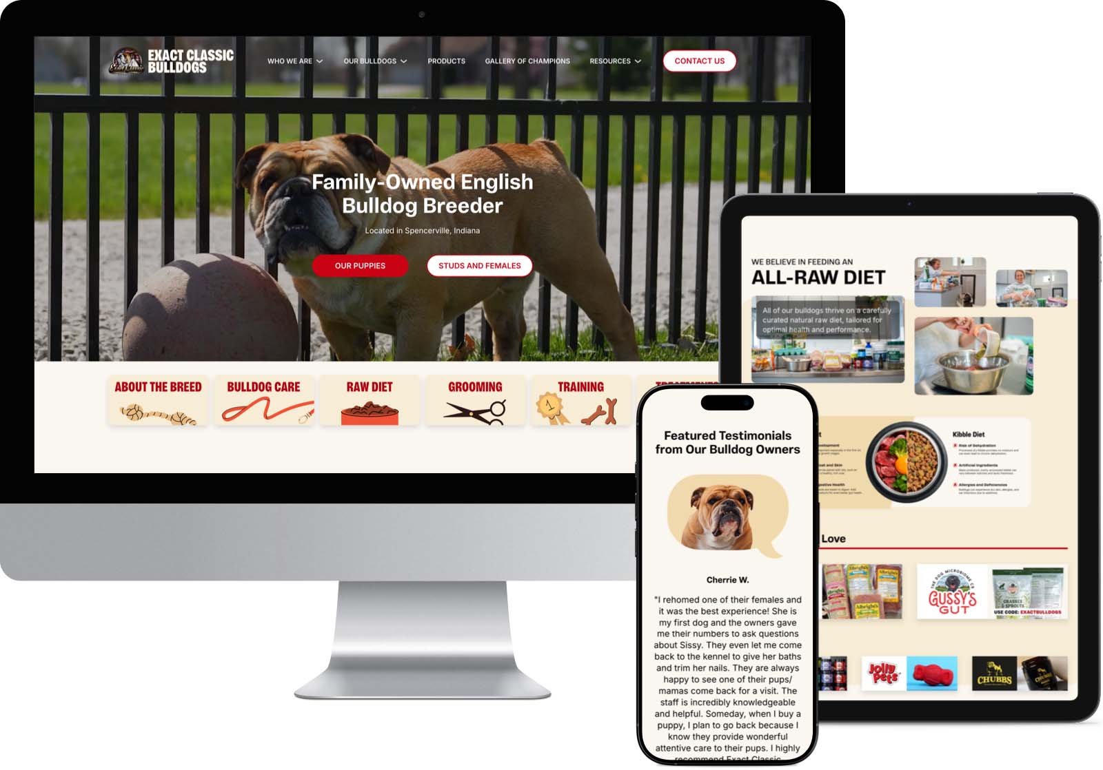 Website Design & Development